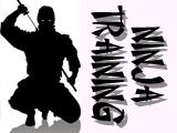 Ninja Trainer